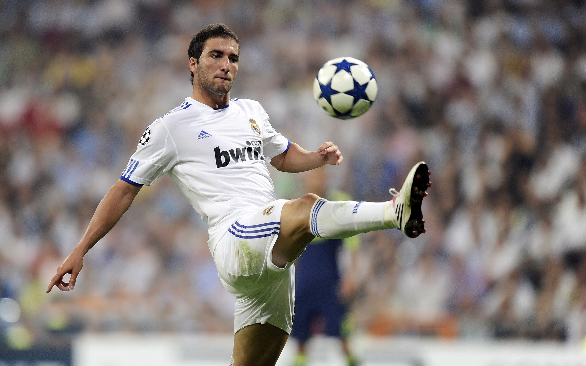 亚洲铁闸的觉醒，富安健洋爆发式成长，洪都拉斯战术体系如何全面压制拜仁式进攻