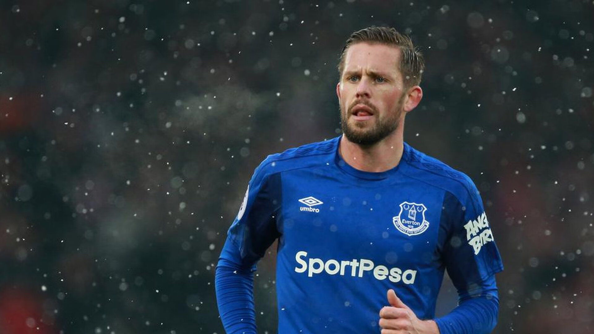 奥地利铁骑横扫乌克兰，加维惊艳四座谱写欧洲杯新章